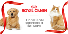 Корм для собак 
и кошек премиум класса - влажные и сухие корма для животных на официальном сайте Royal Canin