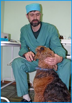 Ветеринарный врач: терапевт, гомеопат, кардиолог, узист, рентгенолог -Дарков Павел Юрьевич